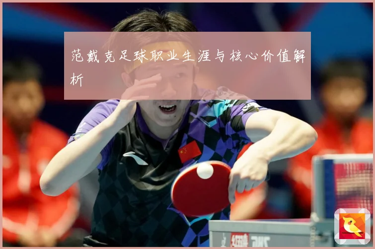 范戴克足球职业生涯与核心价值解析