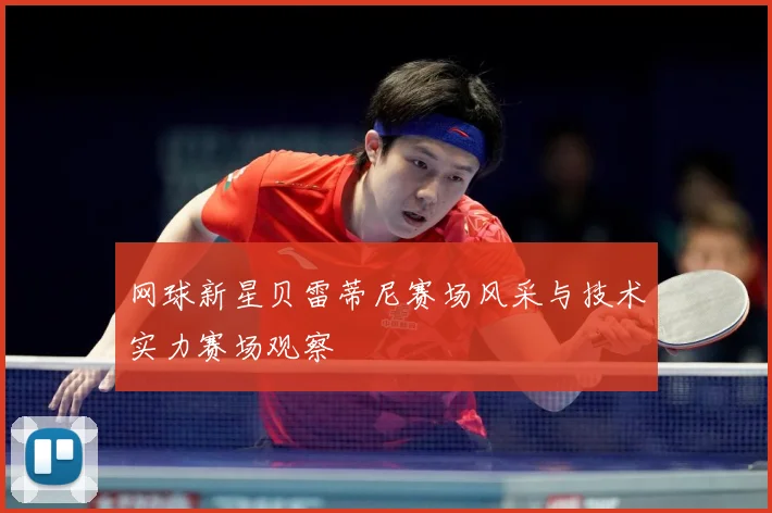 网球新星贝雷蒂尼赛场风采与技术实力赛场观察