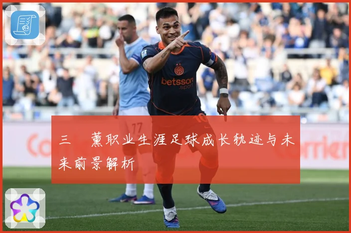 三笘薰职业生涯足球成长轨迹与未来前景解析