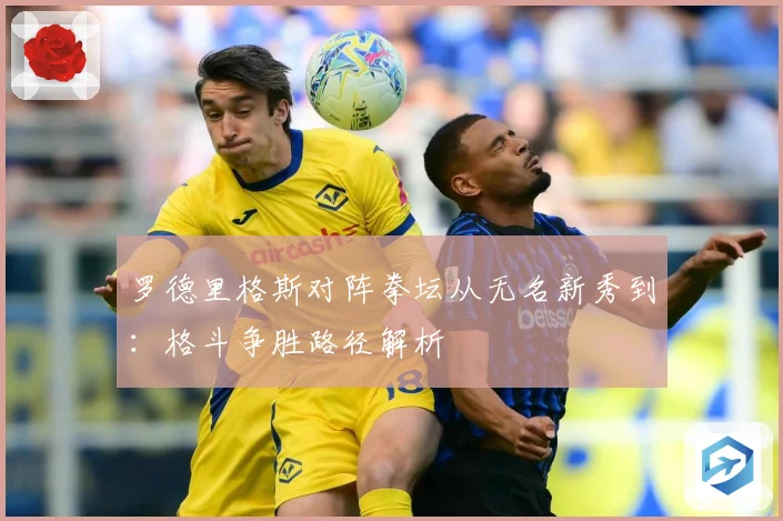 罗德里格斯对阵拳坛从无名新秀到：格斗争胜路径解析