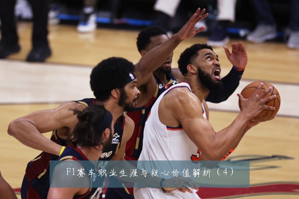 F1赛车职业生涯与核心价值解析(4)